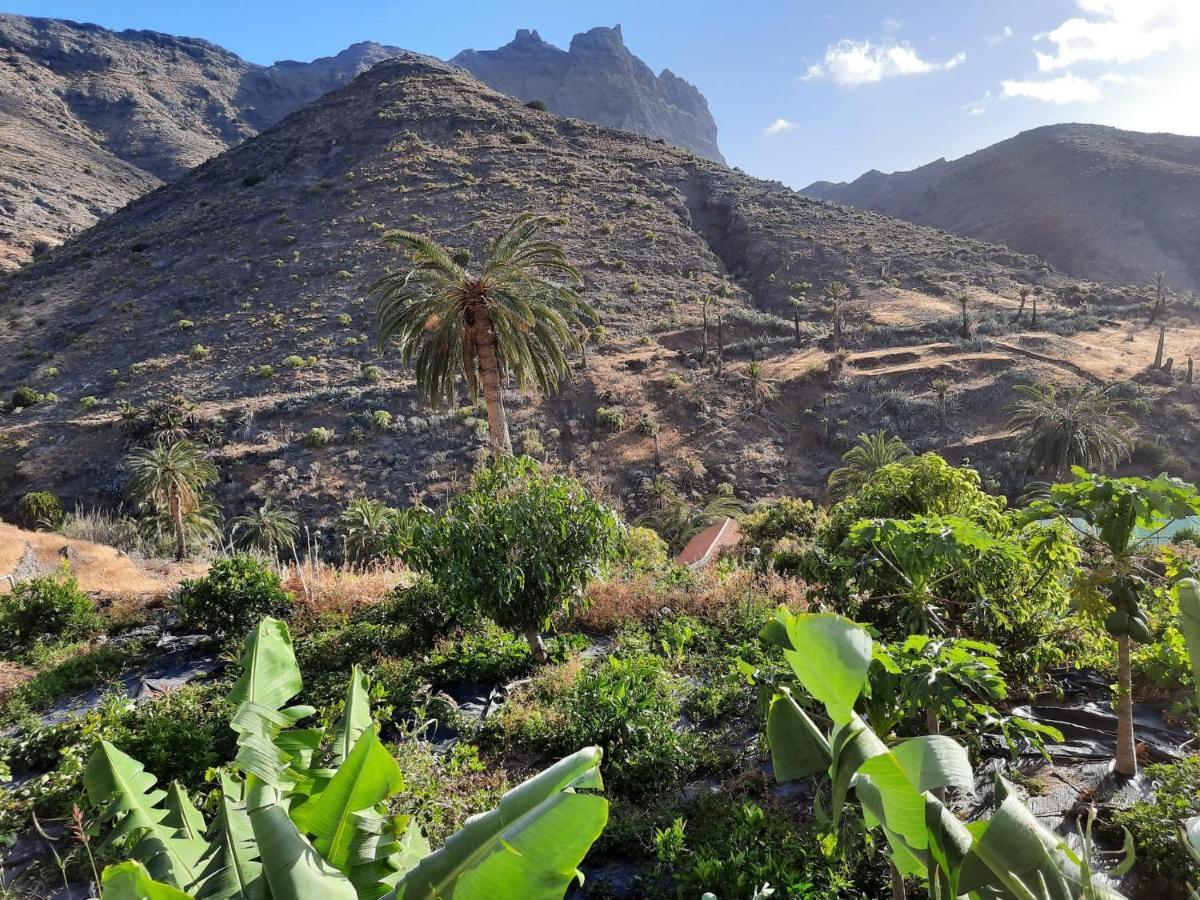 Casa Rural La Vega Alojera エクステリア 写真