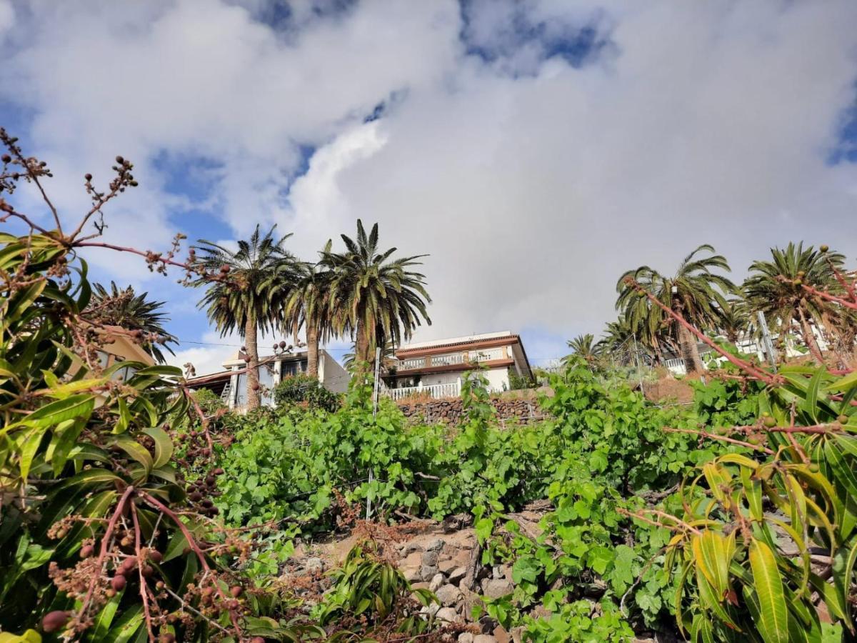 Casa Rural La Vega Alojera エクステリア 写真