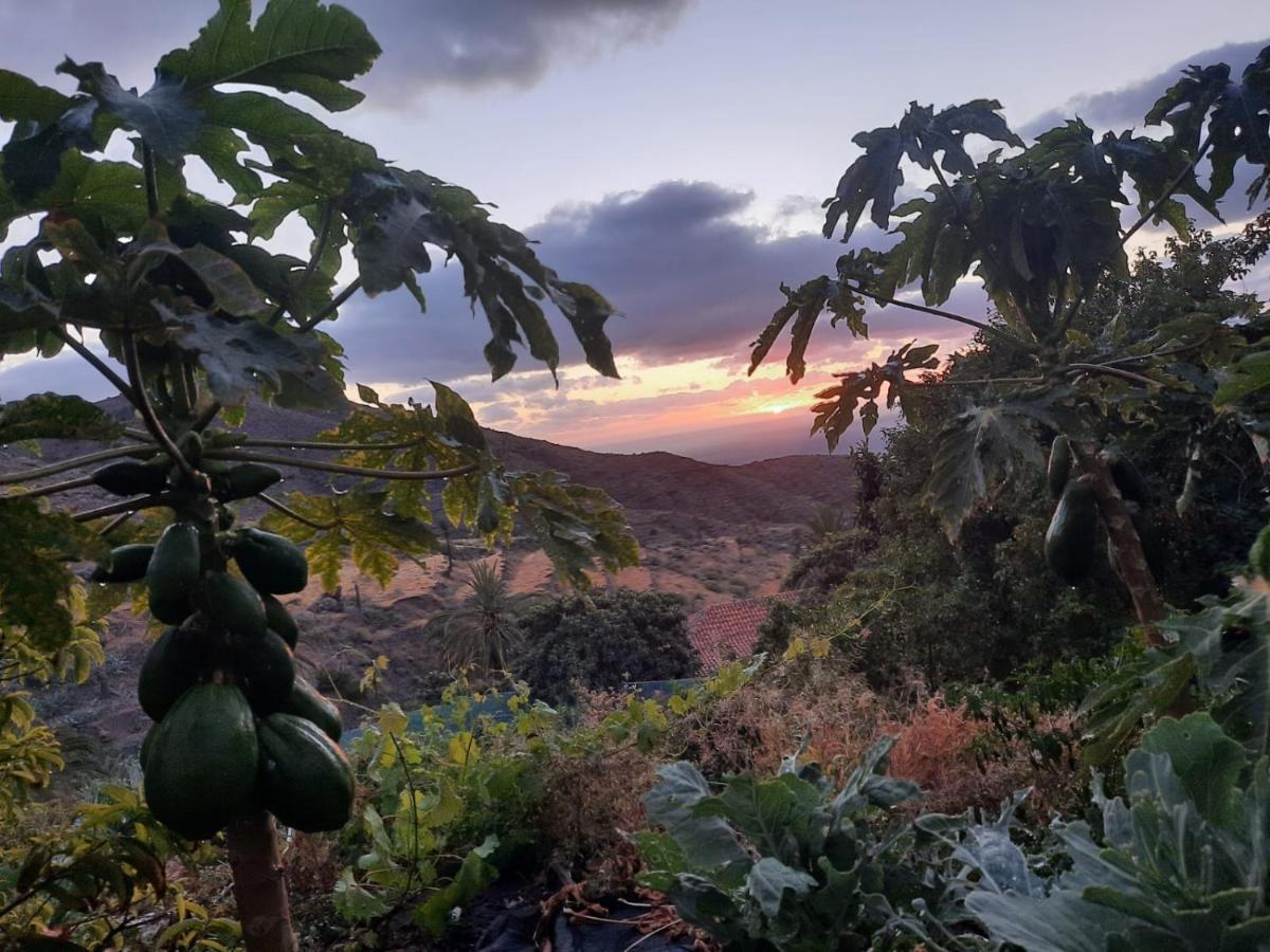Casa Rural La Vega Alojera エクステリア 写真