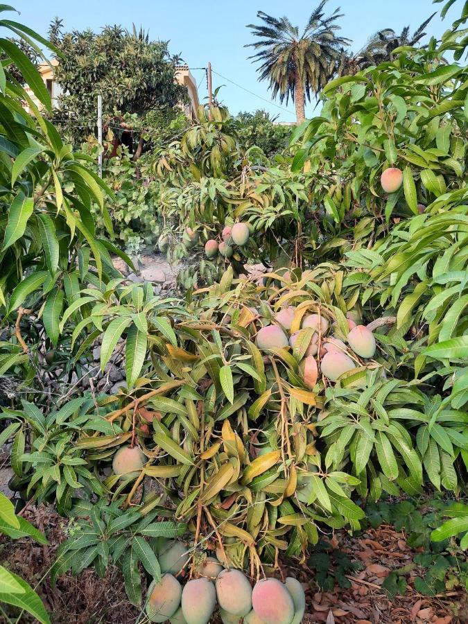 Casa Rural La Vega Alojera エクステリア 写真