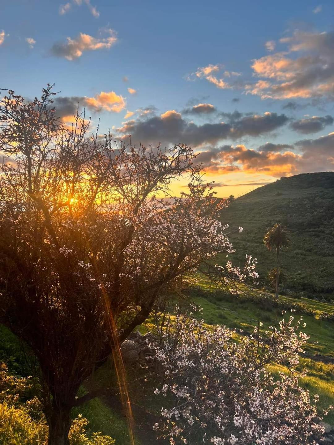 Casa Rural La Vega Alojera エクステリア 写真